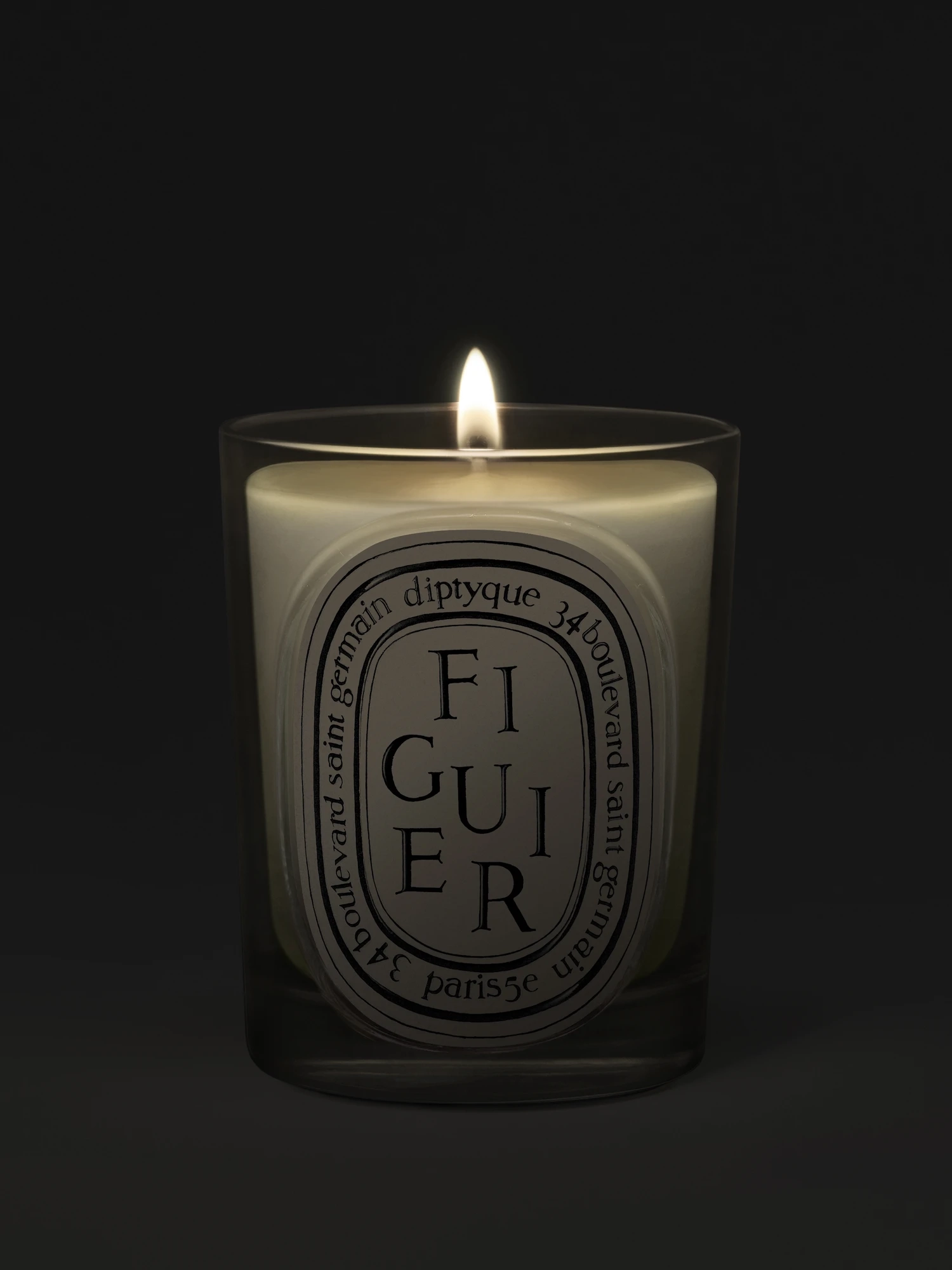 Alternative Image Diptyque Figuier Candle190g