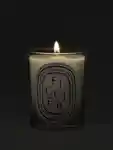 Alternative Image Diptyque Figuier Candle190g