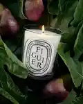 Alternative Image Diptyque Figuier Candle190g