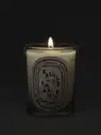 Alternative Image Diptyque Feuille De Lavande Candle190g