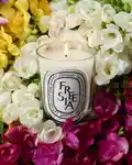 Alternative Image Diptyque Freesia Candle190g