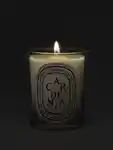 Alternative Image Diptyque Gardenia Candle190g