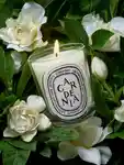 Alternative Image Diptyque Gardenia Candle190g