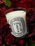 Alternative Image Diptyque Geranium Candle190g