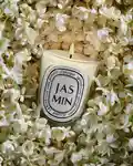 Alternative Image Diptyque Jasmin Candle190g