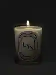 Alternative Image Diptyque Lys Candle190g