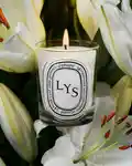 Alternative Image Diptyque Lys Candle190g