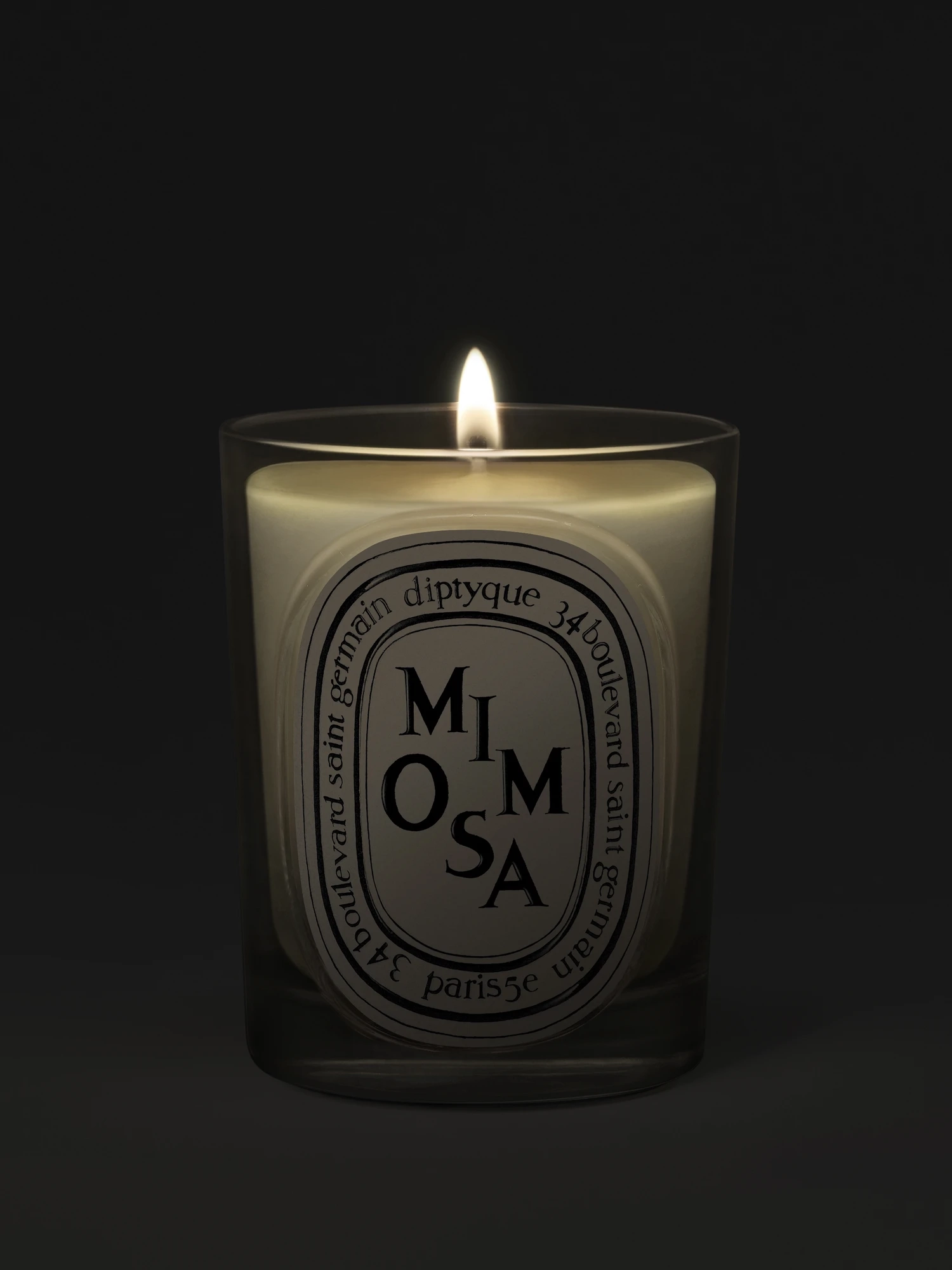 DIPTYQUE - Mimosa Candle 190g (Classic) | MECCA