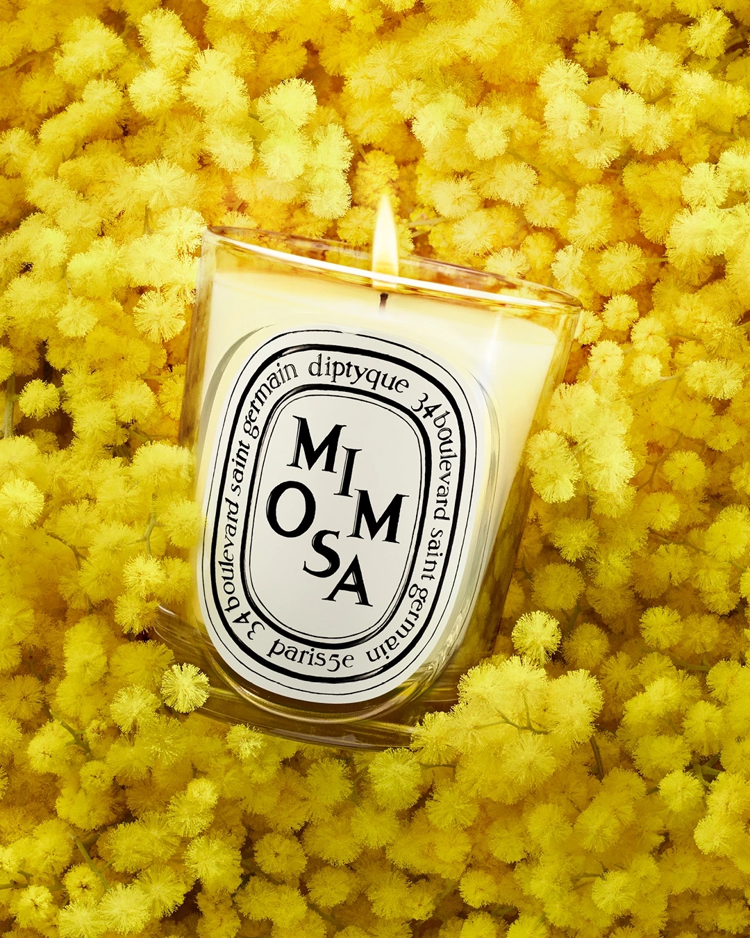 DIPTYQUE - Mimosa Candle 190g (Classic) | MECCA