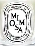 Alternative Image Diptyque Mimosa Candle190g