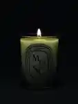 Alternative Image Diptyque Musc Candle190g