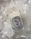 Alternative Image Diptyque Musc Candle190g