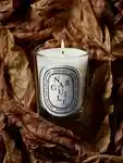 Alternative Image Diptyque Narguile Candle190g