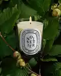 Alternative Image Diptyque Noisetier Candle190g