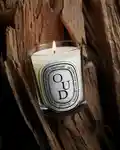 Alternative Image Diptyque Oud Candle190g