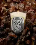 Alternative Image Diptyque Opopanax Candle190g