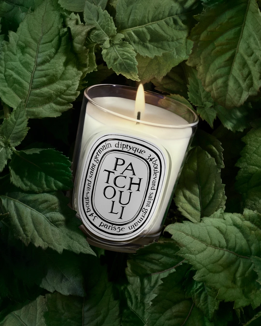 Alternative Image Diptyque Patchouli Candle190g