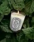 Alternative Image Diptyque Patchouli Candle190g