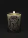 Alternative Image Diptyque Patchouli Candle190g