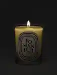 Alternative Image Diptyque Pomander Candle190g
