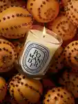 Alternative Image Diptyque Pomander Candle190g