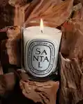 Alternative Image Diptyque Santal Candle190g