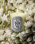 Alternative Image Diptyque Tubereuse Candle190g