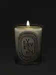 Alternative Image Diptyque Verveine Candle190g