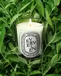Alternative Image Diptyque Verveine Candle190g