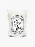 Hero Diptyque Verveine Candle190g