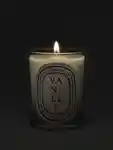 Alternative Image Diptyque Vanille Candle190g