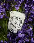 Alternative Image Diptyque Violette Candle190g