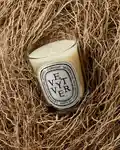Alternative Image Diptyque Vetyver Candle190g