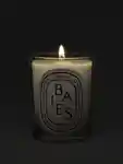 Alternative Image Diptyque Baies Candle190g