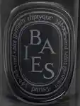 Alternative Image Diptyque Baies Candle300g