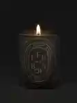 Alternative Image Diptyque Feu De Bois Candle300g