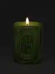 Alternative Image Diptyque Figuier Candle300g