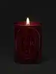 Alternative Image Diptyque Tubereuse Candle300g