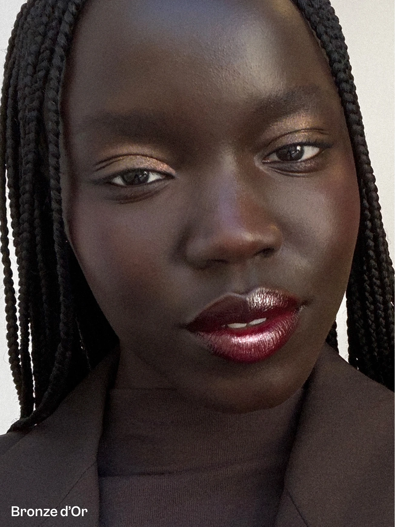 Alternative Image VIOLETT E_ FR Plume Eyeshadow