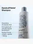 Alternative Image Briogeo Scalp Revival Dandruff Relief Shampoo