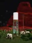 Alternative Image MALINGOETZ Braindead X Leather Perfume Oil