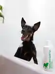 Alternative Image MALINGOETZ Dog Shampoo