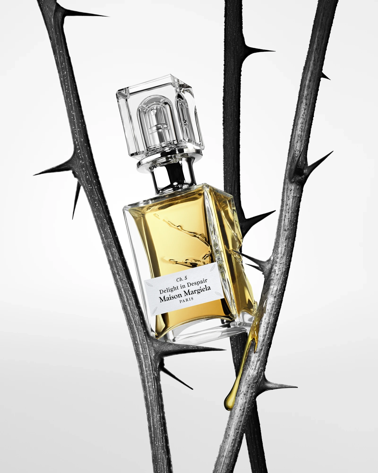 Alternative Image Maison Margiela Artisanal Delight In Despair Edp75m L