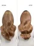 Alternative Image Gisou Honey Collagen Gloss Drops