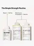 Alternative Image Olaplex No3 Complete Repair Treatment