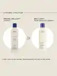 Alternative Image AVEDA Brilliant Shine Boosting Shampoo
