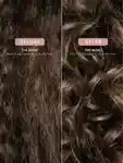 Alternative Image Arkive The Bond Leave In Conditioner