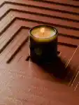 Alternative Image Flamingo Estate Golden Pollinator Candle