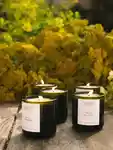 Alternative Image Flamingo Estate Golden Pollinator Candle