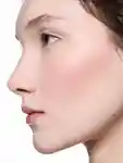 Alternative Image M· A· C Cosmetics Skinfinish Colourstruck Blush